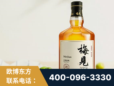 锦州-梅见青梅酒